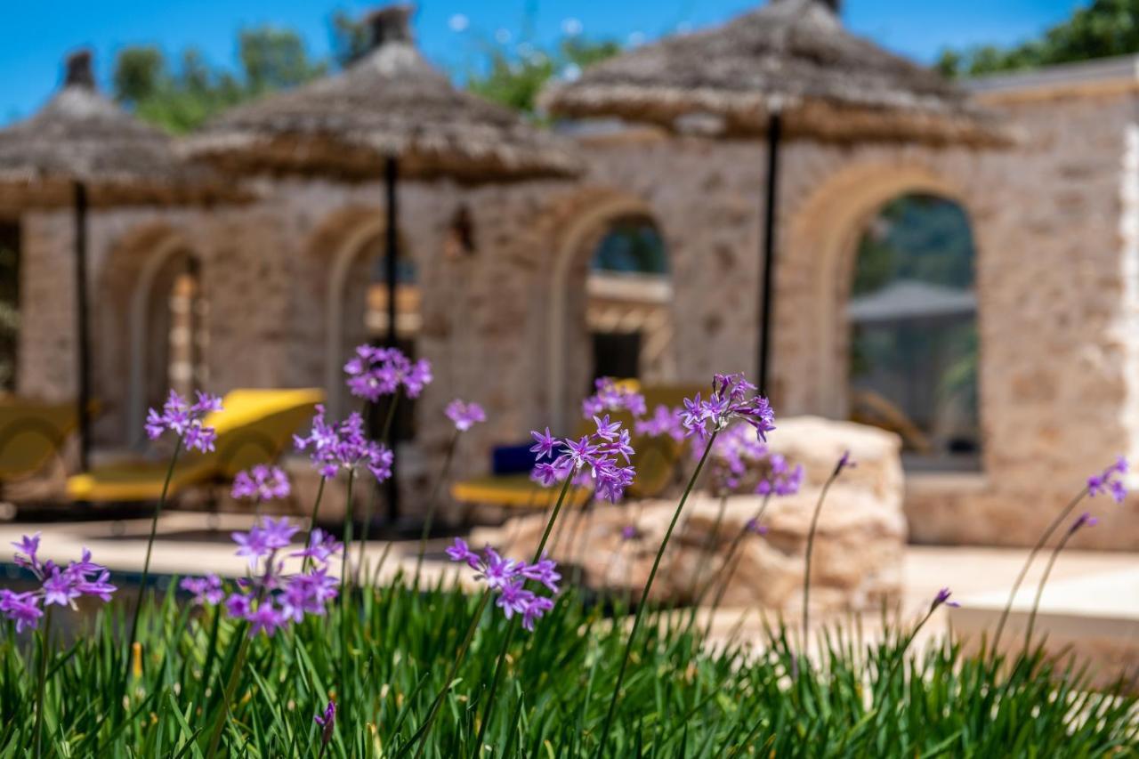 Absolu Beldi Essaouira Bed and Breakfast Εξωτερικό φωτογραφία